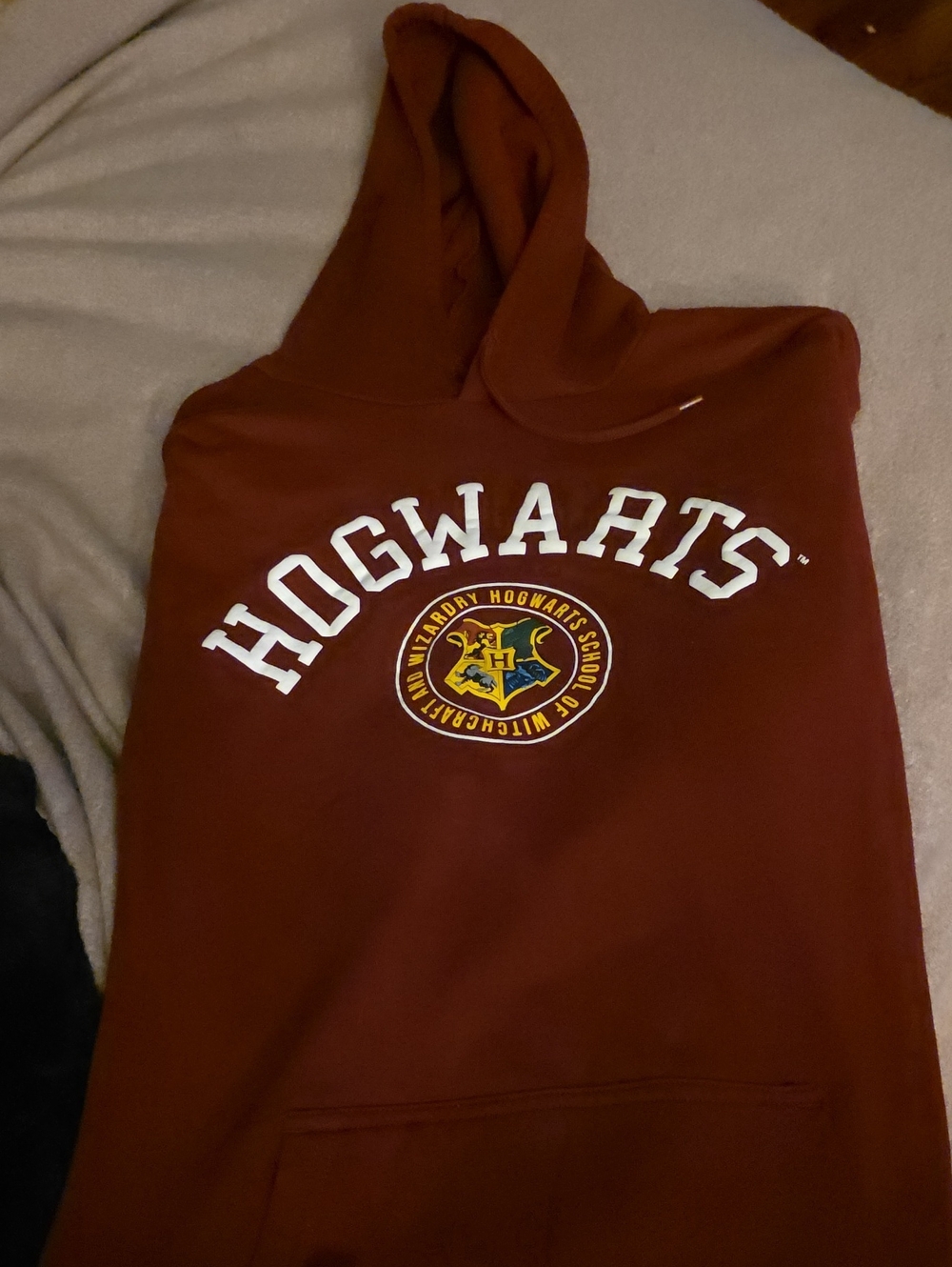 Warner Bros. Rust Red Harry Potter Pullover Hoodie